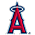 Home Team